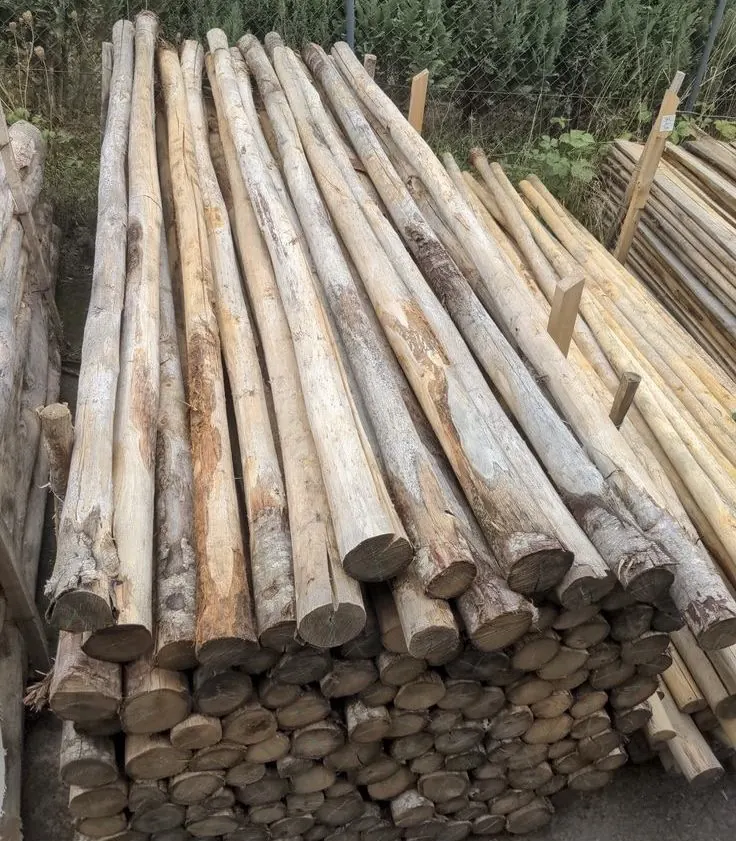 Palos de eucalipto apilados de distintos diámetros