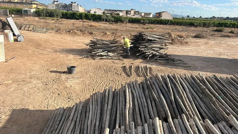 Preparación y clasificación de palos de eucalipto
