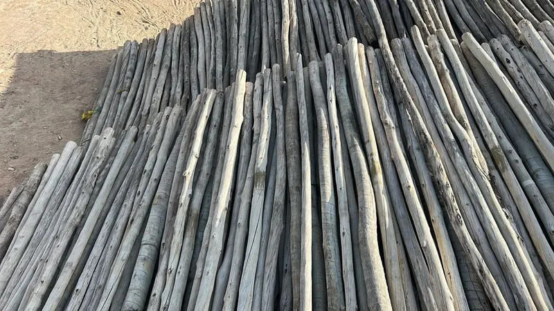 Detalle de palos de eucalipto y de su acabado natural