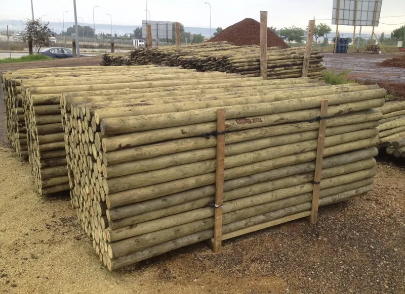 Lotes de palos de eucalipto apilados y atados